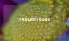 抖音怎么运营才安全呢呢