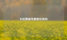 卡拉赞刷龙要做任务吗