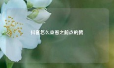 抖音怎么查看之前点的赞