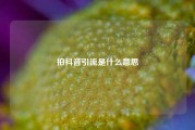 拍抖音引流是什么意思
