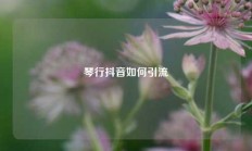琴行抖音如何引流