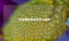 抖音增粉低成本怎么做的