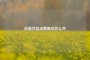 抖音作品点赞震动怎么开