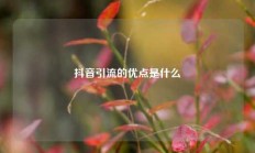 抖音引流的优点是什么