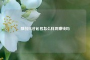 融创抖音运营怎么样啊赚钱吗