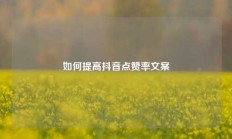 如何提高抖音点赞率文案