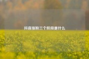 抖音涨粉三个阶段是什么