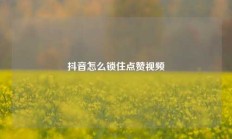 抖音怎么锁住点赞视频