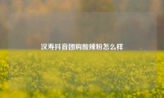 汉寿抖音团购酸辣粉怎么样
