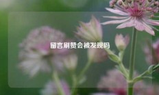 留言刷赞会被发现吗