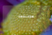 抖音怎么去运营