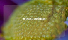 类似栀子刷赞神器