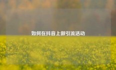 如何在抖音上做引流活动
