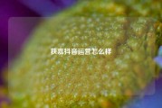 获嘉抖音运营怎么样