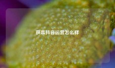 获嘉抖音运营怎么样
