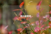 慕白刷赞网