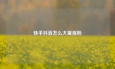 快手抖音怎么大量涨粉