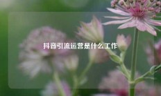抖音引流运营是什么工作
