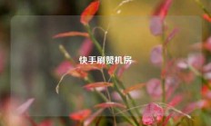 快手刷赞机房