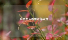 抖音怎么看累计谁点赞
