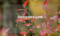 抖音终极涨粉怎么样啊