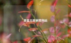 美篇无限刷赞网站