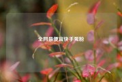 全网最便宜快手死粉