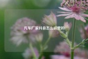 汽车厂家抖音怎么运营的