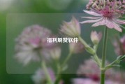 福利刷赞软件