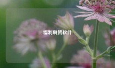 福利刷赞软件