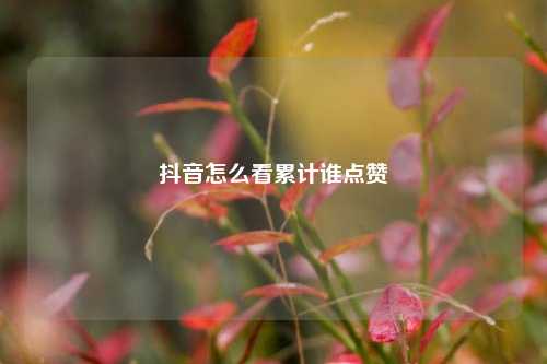 抖音怎么看累计谁点赞