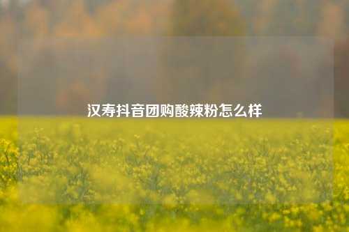 汉寿抖音团购酸辣粉怎么样