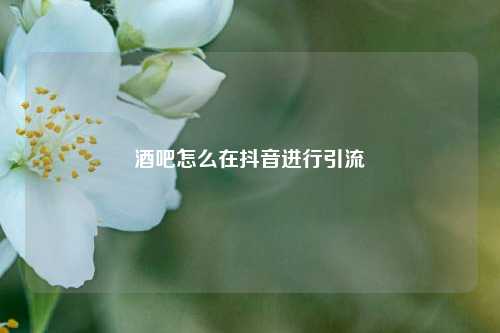 酒吧怎么在抖音进行引流