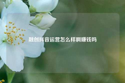 融创抖音运营怎么样啊赚钱吗