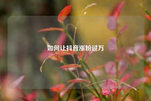 如何让抖音涨粉过万